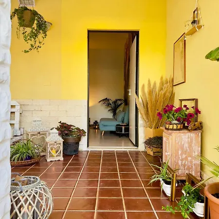 Apartment Casa Anima